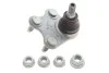 Опора кульова (передня/R) Skoda Roomster 06- LEMFORDER 33906 01 (фото 1)