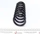 Пружина (передня) MB E-class (W210/S210) E270/320CDI/E280/320/430 96-03 (седан/унив)(ос:Avantgarde) LESJOFORS 4056829 (фото 5)