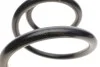 Пружина (передня) Nissan NV400 2.3dCi/Opel Movano B 2.3CDTI/Renault Master III 2.3dCi 10- LESJOFORS 4062078 (фото 3)