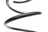 Пружина (передня) Renault Megane II 1.9dCi/2.0/2.0 16V/2.0dCi 02-09 (седан/універсал/накл.зад.ч.) LESJOFORS 4072954 (фото 2)