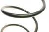 Пружина (передня) Subaru Impreza 2.0R AWD 08-12 (нах.зад.частина) LESJOFORS 4088336 (фото 3)