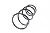 Пружина (передня) Toyota Rav4 II 2.0D 4WD 01-05 (SUV) LESJOFORS 4092591 (фото 6)