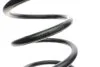 Пружина (задня) Ford Focus 1.4-2.0 16V/1.8DI/TDDi/TDCi 98-04 (седан/нах.зад.частина) LESJOFORS 4227554 (фото 2)