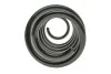 Пружина (задня) Skoda Rapid 1.4-1.6TDI/1.4TSI/Seat Toledo IV 1.2-1.4TSI/1.6TDI 12-19 (накл.з.ч) LESJOFORS 4295038 (фото 3)