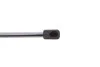 Амортизатор кришки багажника MB B-class (W245) 05-11 (R) (хетчбек) LESJOFORS 8156812 (фото 5)