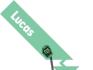 Датчик детонации LUCAS SEB1463 (фото 4)