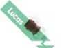 Датчик давления масла LUCAS SOB860 (фото 2)