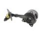 Комплект зчеплення Ford Transit 2.2 TDCi 06- (63-81 kw) LuK 625 3044 33 (фото 5)