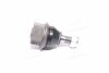 Болт эксцентриковый MAGNETI MARELLI 301181312020 (фото 1)