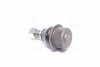 Болт эксцентриковый MAGNETI MARELLI 301181312020 (фото 3)