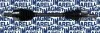 Піввісь (передня) Renault Master III 2.3dCi 10- (L) (TDS0061) MAGNETI MARELLI 302004190061 (фото 2)