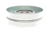 Ролик генератора VW Passat 2.5TDI 98-05 (паразитний) (76х24.5) (MPQ0062) MAGNETI MARELLI 331316170062 (фото 3)