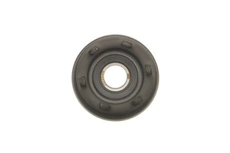 Ролик генератора Renault Clio III/Megane II//Scenic II 2.0 1.6V/1.9dCi 03- (натяжний) (65x30) (MPQ0087) MAGNETI MARELLI 331316170087
