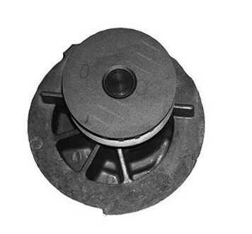 Помпа водяная MAGNETI MARELLI 352316170875