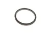 Помпа води VW T5/Multivan V 2.5TDI 03-09/Touareg 2.5 R5 TDI 03-10 MAGNETI MARELLI 352316171197 (фото 6)