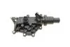 Термостат Renault Clio/Megane 1.4/1.6 02- (89°C) (+прокладка) (TE0201) MAGNETI MARELLI 352317102010 (фото 4)