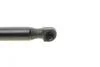Амортизатор крышки багажника MAGNETI MARELLI 430719033700 (фото 3)