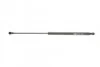 Амортизатор кришки багажника Audi A3 03-12 (Хетчбек) (GS0460) MAGNETI MARELLI 430719046000 (фото 5)