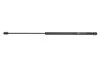 Амортизатор кришки багажника MAGNETI MARELLI 430719073000 (фото 1)