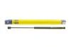 Амортизатор кришки багажника MAGNETI MARELLI 430719073200 (фото 1)