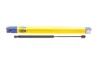 Амортизатор крышки багажника MAGNETI MARELLI 430719076500 (фото 1)