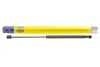 Амортизатор кришки багажника MAGNETI MARELLI 430719078700 (фото 1)