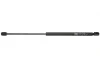 Амортизатор кришки багажника VW Golf Plus V 05-13 (хетчбeк) MAGNETI MARELLI 430719085700 (фото 1)