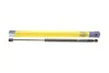 Амортизатор крышки багажника MAGNETI MARELLI 430719089100 (фото 1)