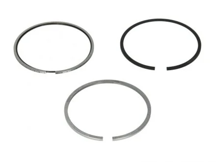 Кільця поршневі Fiat Doblo/ Opel Combo 1.3 JTD 04- (69.60mm/STD) (2-1.5-2) MAHLE / KNECHT 010 04 N0