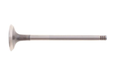 Клапан (випуск) Renault Kangoo 1.5dc (29x6x100.7) MAHLE / KNECHT 021 VA 31061 000