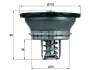 Термостат MAHLE / KNECHT THD 3 82 (фото 1)