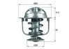 Термостат Honda Accord/Civic 1.2-2.2 98- (82°C) MAHLE / KNECHT TX 119 82D (фото 2)