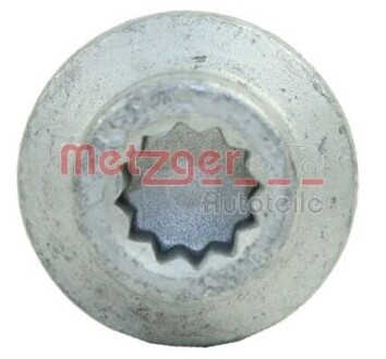Болт, крепление форсунки METZGER 0870099S