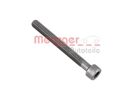 Болт, крепление форсунки METZGER 0872000S