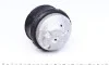 Подушка двигуна (передня) (R) MB E-class (W211) 2.2D 02-08 MEYLE 014 024 0118 (фото 4)