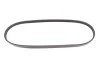 Ремінь генератора BMW X5 (E53) 3.0D 03-/Opel Astra G 1.7TD -00 (4PK884) MEYLE 050 004 0884 (фото 1)
