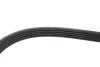 Ремінь генератора Fiat Ducato 1.9D/TD 94-02 (5PK925) MEYLE 050 005 0925 (фото 3)
