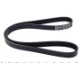 Ремінь генератора Mazda 323/626/ Opel Astra G/Vectra B/C 2.0/2.2 00-08 (5PK1030) MEYLE 050 005 1030 (фото 2)