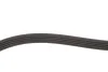 Ремінь генератора BMW 3 (E36)/5 (E34/E39)/Hyundai (5PK1815) MEYLE 050 005 1815 (фото 3)