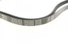Ремінь генератора Opel Omega B 2.5DTI 01-03/Land Rover Range Rover 3.0D 02-12 (5PK2020) MEYLE 050 005 2020 (фото 2)
