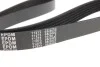 Пас поликлиновый 6 PK 1055 MEYLE 0500061055 (фото 3)