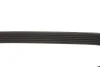 Ремінь генератора Fiat Scudo/Citroen Berlingo 1.9D/TD 96- (6PK1110) MEYLE 050 006 1110 (фото 5)