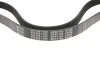 Ремінь генератора Citroen Jumper 2.0HDI (6PK1185) MEYLE 050 006 1185 (фото 4)