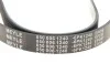 Ремінь генератора Renault Laguna 2.0 95-01 (6PK1240) MEYLE 050 006 1240 (фото 5)
