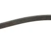 Ремінь генератора Citroen Berlingo 1.9D 98- (6PK1390) MEYLE 050 006 1390 (фото 4)