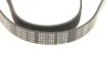 Ремінь генератора Citroen Berlingo 1.9D 98- (6PK1390) MEYLE 050 006 1390 (фото 5)