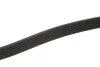 Ремінь генератора Opel Astra 1.7CDTI (6PK1623) MEYLE 050 006 1623 (фото 2)