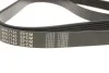 Ремінь генератора Peugeot Expert/Citroen Berlingo 1.9D/TD 96-/2.0HDI 00- (6PK1740) MEYLE 050 006 1740 (фото 3)