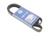Ремінь генератора VW LT 2.5TDI 96-01/Peugeot Expert 1.9D/2.0HDI 98- (6PK1750) MEYLE 050 006 1750 (фото 1)