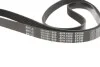 Ремінь генератора VW T4 2.0i 91-03/Opel Vectra A/B (6PK1900) MEYLE 050 006 1900 (фото 5)